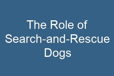The Role of Search-and-Rescue Dogs