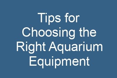 Tips for Choosing the Right Aquarium Equipment