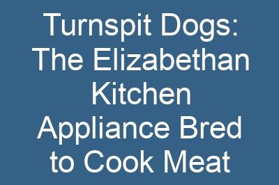 Turnspit Dogs: The Elizabethan Kitchen Appliance Bred to Cook Meat