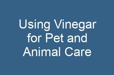 Using Vinegar for Pet and Animal Care