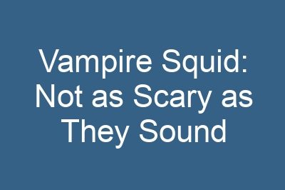 Vampire Squid: Not as Scary as They Sound