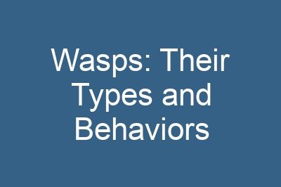 Wasps: Their Types and Behaviors