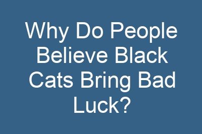 Why Do People Believe Black Cats Bring Bad Luck?