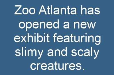 Zoo Atlanta has opened a new exhibit featuring slimy and scaly creatures.