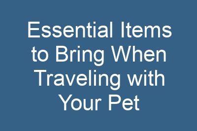 Essential Items to Bring When Traveling with Your Pet