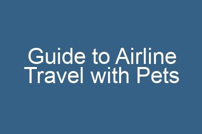Guide to Airline Travel with Pets