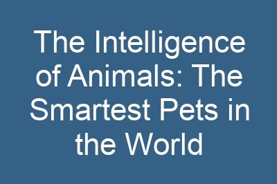 The Intelligence of Animals: The Smartest Pets in the World