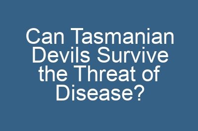 Can Tasmanian Devils Survive the Threat of Disease?