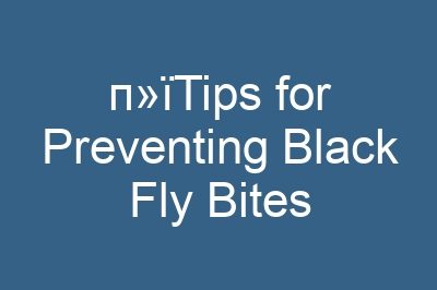 п»їTips for Preventing Black Fly Bites