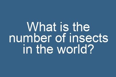 What is the number of insects in the world?
